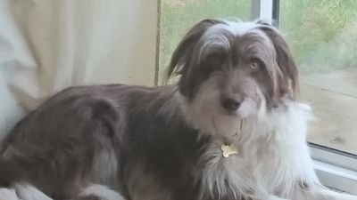 coco20172015's profile picture. 