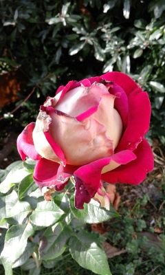 e6c740edb40f41c's profile picture. 