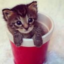 Jayden Skye Rivera - @535skye - Twitter