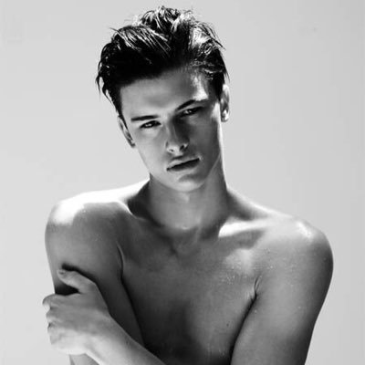 alexrpgdnt's profile picture. 