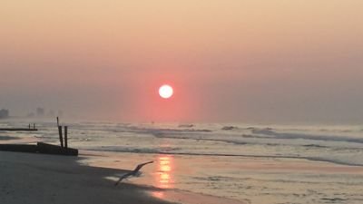 Three things cannot be long hidden: the sun, the moon, and the truth.