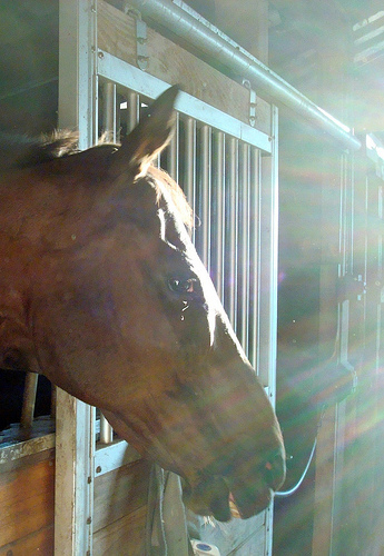 funinthesun101's profile picture. 