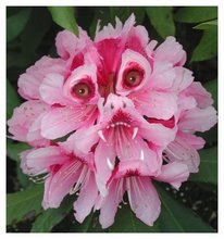 PepsiMonster's profile picture. The explorer in finding all places with the mantra in the right way to eat. 📲https://t.co/yyzrHu91lK