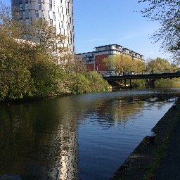 masiiwa23's profile picture. 