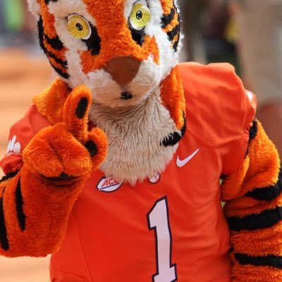 TommyBowers28's profile picture. 