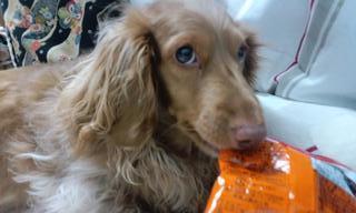 homeoallostasis's profile picture. 