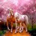 terrybohorquezalcala (@valleterryi) Twitter profile photo terrybohorquezalcala (@valleterryi) Twitter profile photo