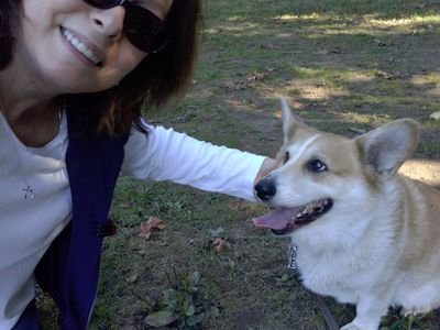 corgimombev's profile picture. 