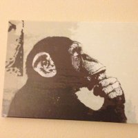 Jason (@cinnamoneagle) Twitter profile photo