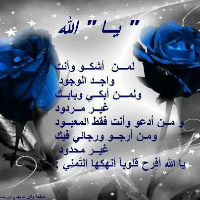 AbdoAlkherat's profile picture. 