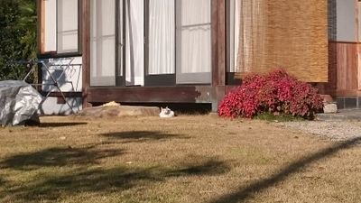 o14425996's profile picture. 