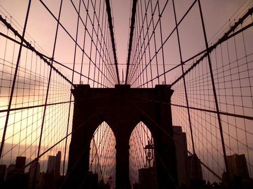 Go_Green_Trips's profile picture. 