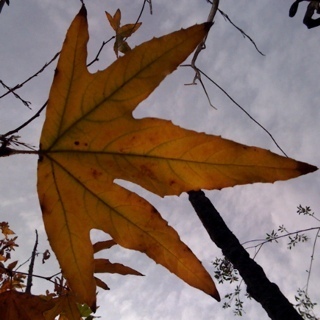 GreenBookkeeper's profile picture. I inspire people to change their lives and the world by connecting their dreams to responsible budgeting and bookkeeping