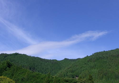 tenkaitdeno1's profile picture. 身体と心と霊魂の三位一体の療法を取り入れて、多くの方々に喜んでいただいている療法家です。携帯電話などの遠隔で浄化・浄霊も出来ますので全国から連絡があります。どこに行っても楽にならない症状や運命は気軽に相談してみてください。お役に立てると思います。