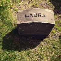 Laura Preston(@laurahpreston) 's Twitter Profile Photo