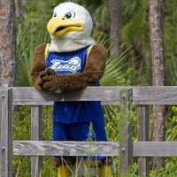 Life At FGCU (@livingfgcu) Twitter profile photo