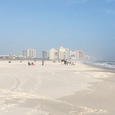 S4PPHIRERBLX's profile picture. Digital Designer