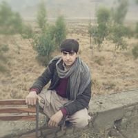 shahidullah (@shahidu13) 's Twitter Profile