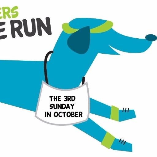 The main annual event taking place every 3rd Sunday in October presented by the Paw Joggers Animal Community Fund, benefiting local animal welfare charities.