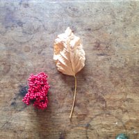 YUKICIENTA (@yukicienta) Twitter profile photo