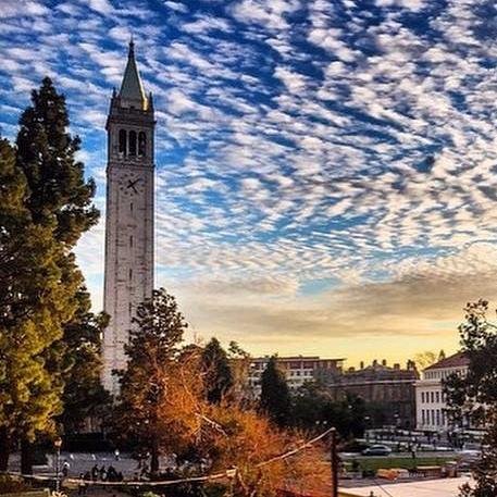 edkking's profile picture. 