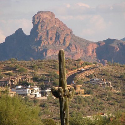 FountainHillJo1's profile picture. Retired Military; politics, sports and traveling are my interests.