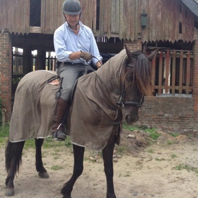 ArnoldSleeplife's profile picture. Paardrijden, strips