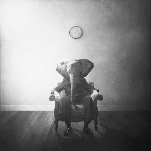 vedrana8's profile picture. 