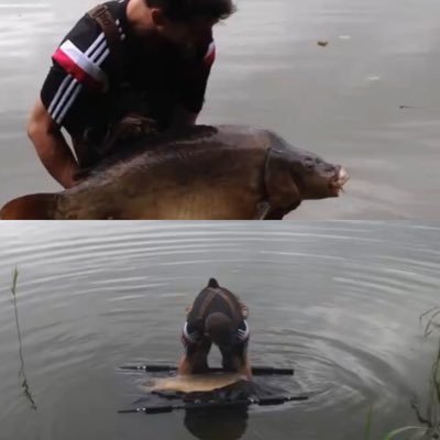 For everything Carpy...