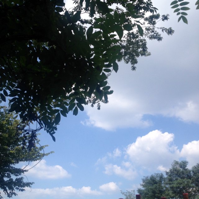 Ikjy1109's profile picture. 내 트윗이 무사하길....