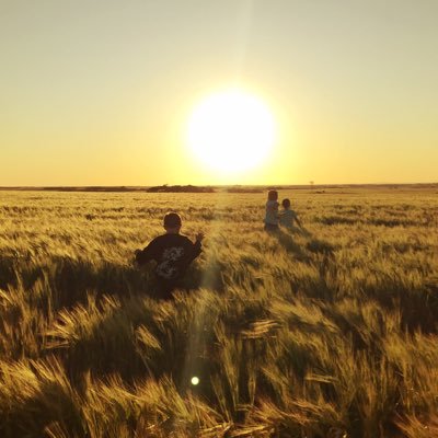 Growing cereals, oilseeds, legumes & hay. Along with a handful of sheep. Husband and father of 4 boys. Farming in Moorlands and Wynarka SA