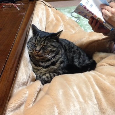 owzsei_ww's profile picture. 