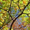 Stacy Downs-Belan - @SoireebyStacy - Twitter