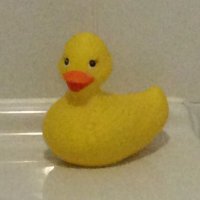 Linda Bayley (@lmbayley) 's Twitter Profile Photo Linda Bayley (@lmbayley) 's Twitter Profile Photo