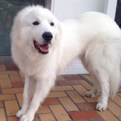 アキーラさんのプロフィール画像