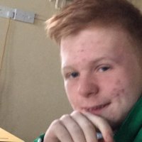 The 12 Apostles (@greencabbage12) 's Twitter Profile