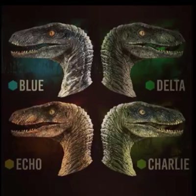 A joint account ran by Blue, Charlie, Echo and Delta!
