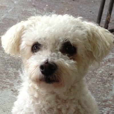 MLDBSC's profile picture. 