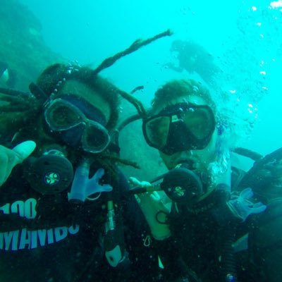 martinscheppel's profile picture. Dynamics 365 Consultant, Professional Beer Drinker, Cheese Eater and Wine Collector. Occasional Cyclist.