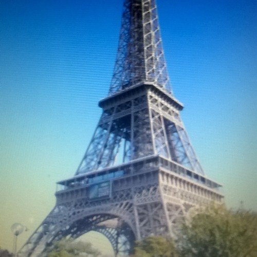 louisedavid48's profile picture. 