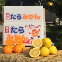 山本農園の幸坊 (@yukibouyamamoto) 's Twitter Profile