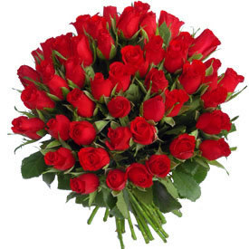 floralsplash's profile picture. Special- 1 Dozen Red Roses On Sale For $34.99
Follow me and find out daily specials!!!!