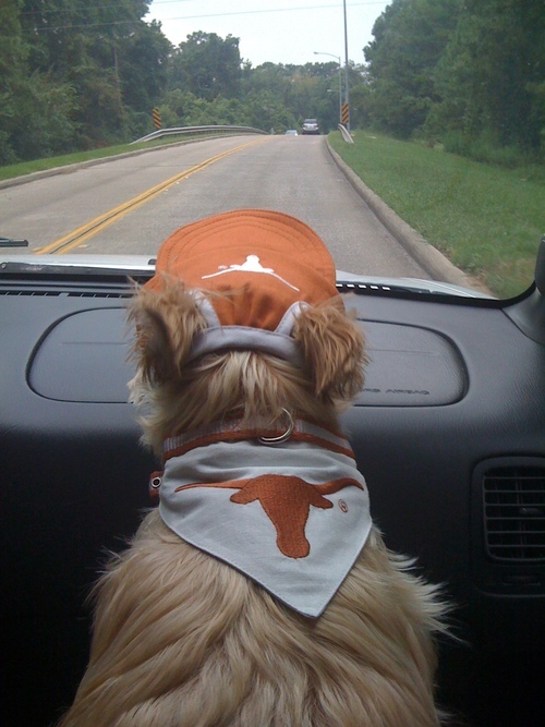 crossbanana's profile picture. 