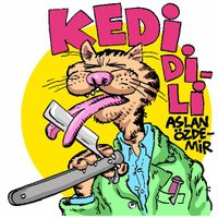 Kedi Dili(@dili_kedi) 's Twitter Profile Photo