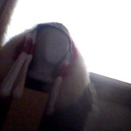 BenDover210's profile picture. 