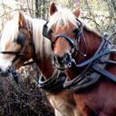 clare carver - @clare_carver - Twitter