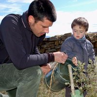 Alejandro Tena (@alejandrotena3) 's Twitter Profile