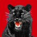 Formerly Known as Parkside Jr High (@former_greats) Twitter profile photo Formerly Known as Parkside Jr High (@former_greats) Twitter profile photo