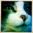 myadorableblog's profile image