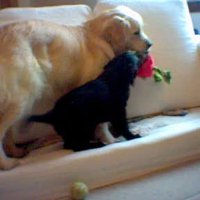 Julie Knight (@juliekn38661036) 's Twitter Profile